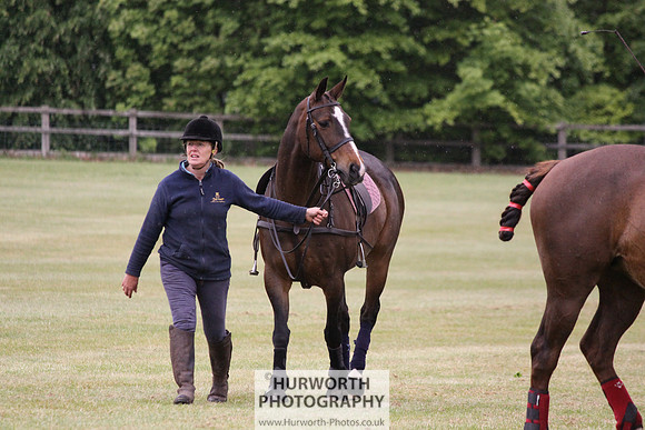 Toulston Polo 064