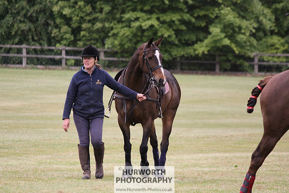 Toulston Polo 065