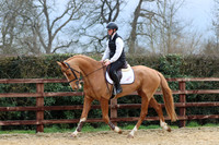 SP 11