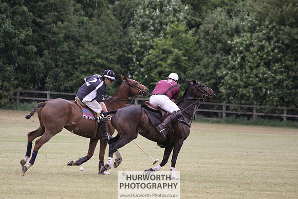 Toulston Polo 284