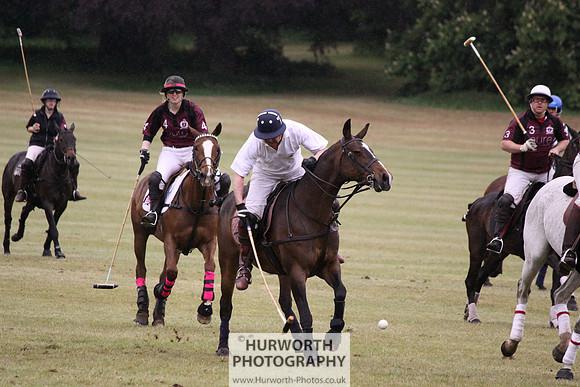 Toulston Polo 288