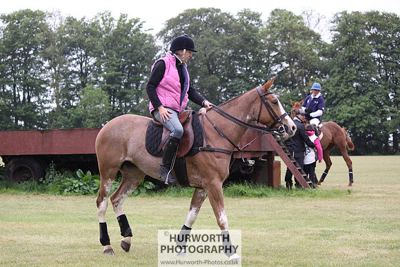 Toulston Polo 066