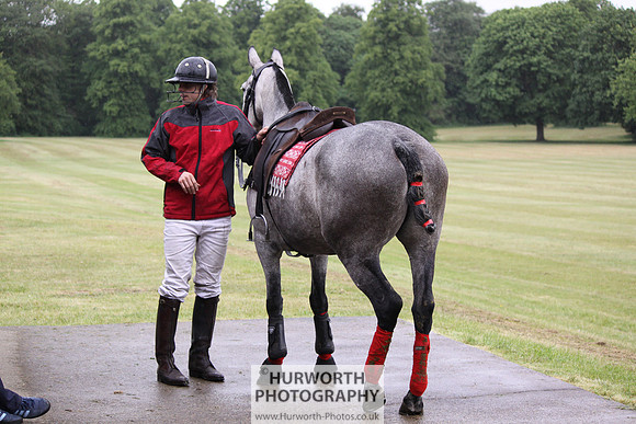 Toulston Polo 069