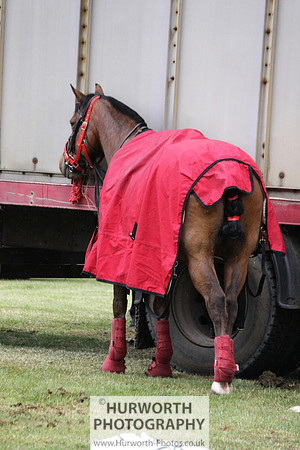 Toulston Polo 067