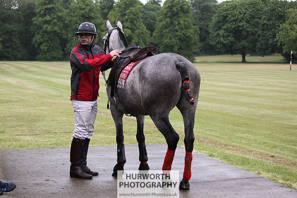 Toulston Polo 068