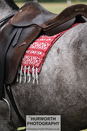Toulston Polo 070