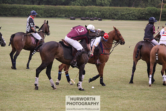 Toulston Polo 078