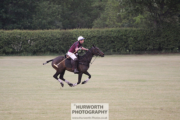Toulston Polo 088