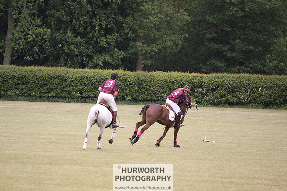 Toulston Polo 100