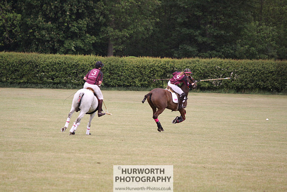 Toulston Polo 101