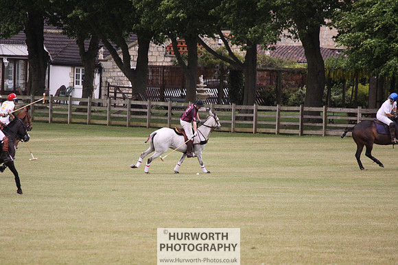 Toulston Polo 103