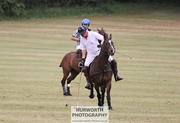 Toulston Polo 113