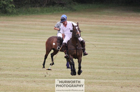 Toulston Polo 114