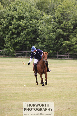 Toulston Polo 116