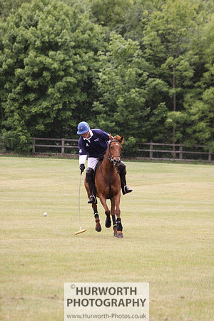 Toulston Polo 117