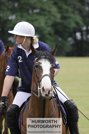 Toulston Polo 123