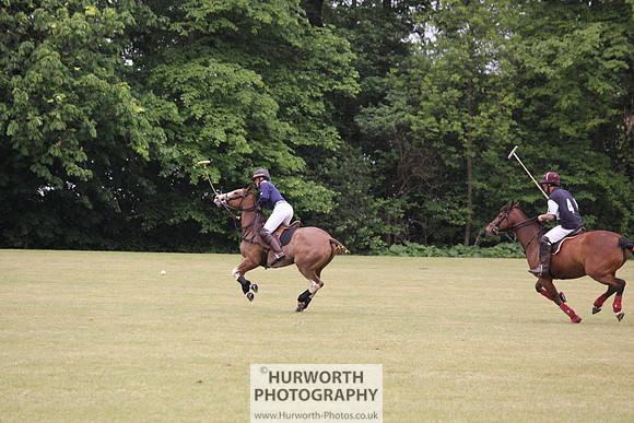 Toulston Polo 130