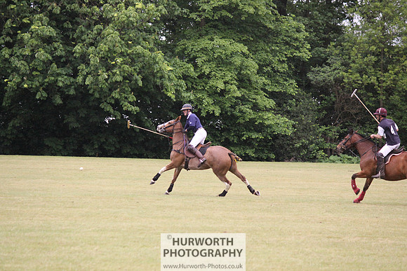 Toulston Polo 131