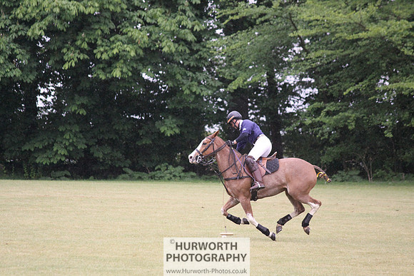 Toulston Polo 132