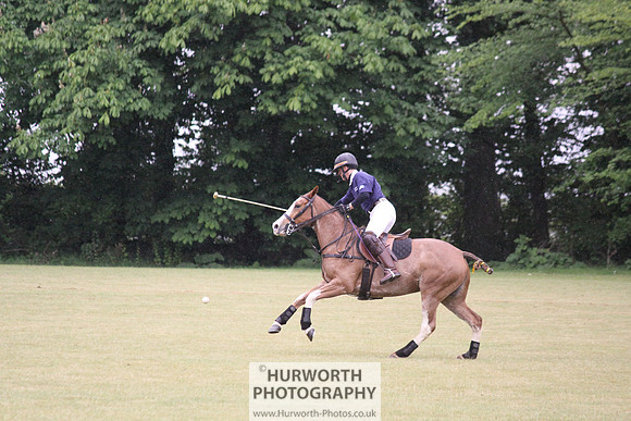 Toulston Polo 133