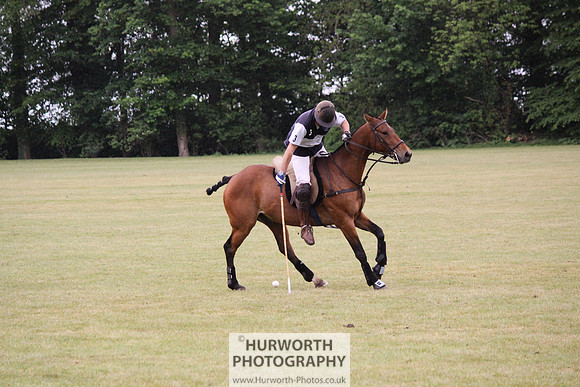 Toulston Polo 136