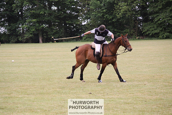 Toulston Polo 137