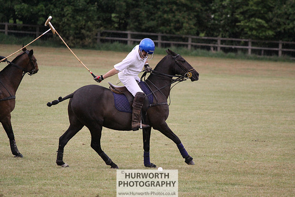 Toulston Polo 139