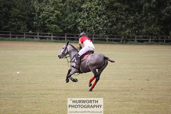 Toulston Polo 140