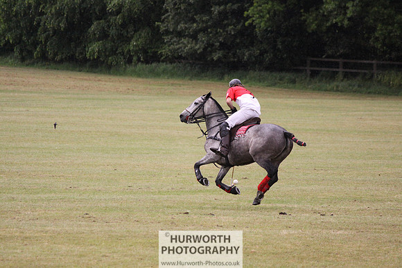 Toulston Polo 141