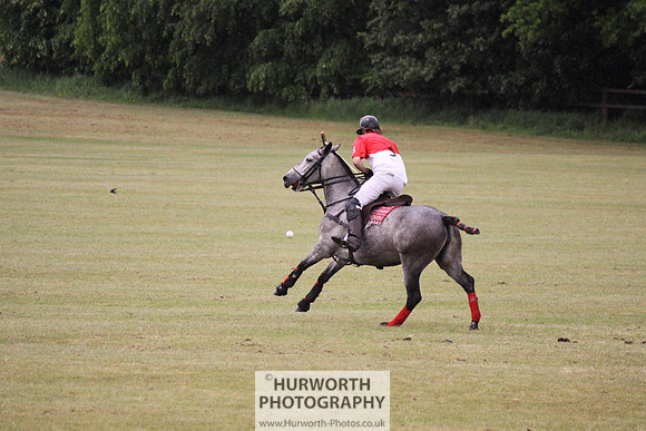 Toulston Polo 142