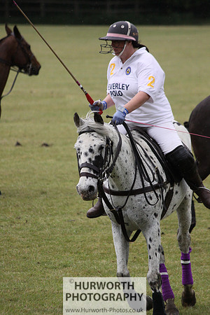 Toulston Polo 145