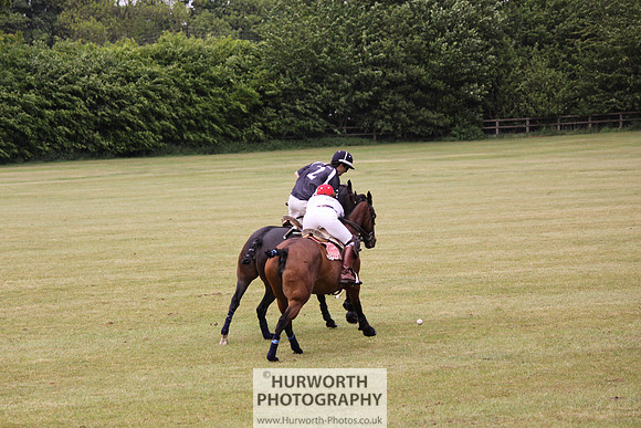 Toulston Polo 148