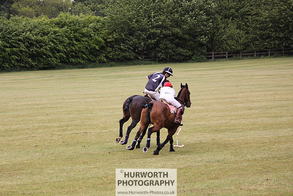 Toulston Polo 149