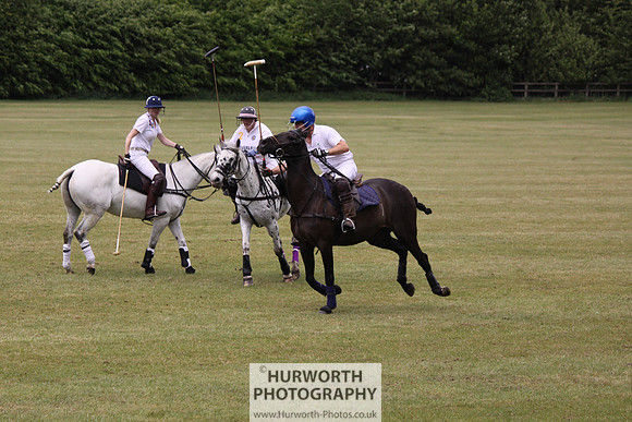 Toulston Polo 151