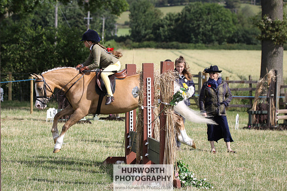 2015 Ossy Show -24