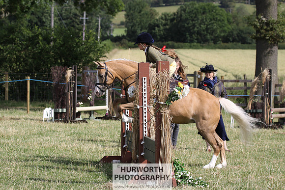 2015 Ossy Show -23