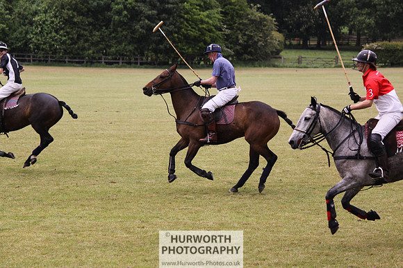 Toulston Polo 153