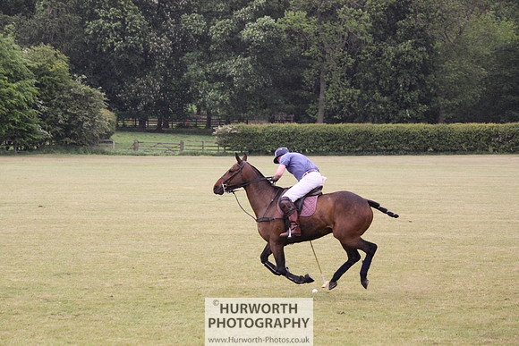 Toulston Polo 156