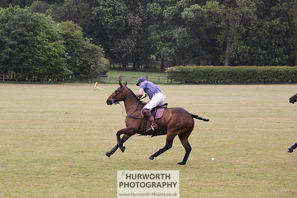 Toulston Polo 157