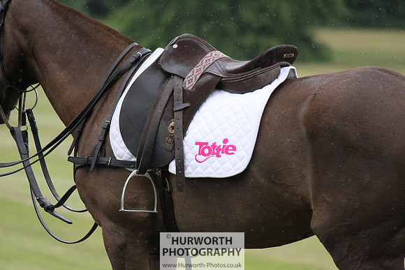 Toulston Polo 158