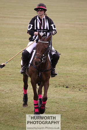 Toulston Polo 160