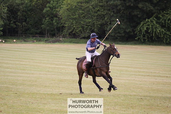 Toulston Polo 173