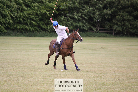 Toulston Polo 174