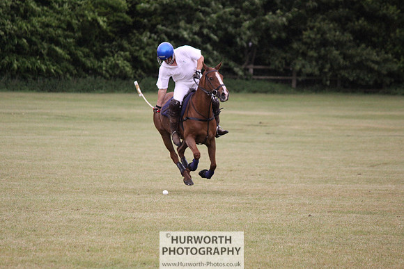 Toulston Polo 175