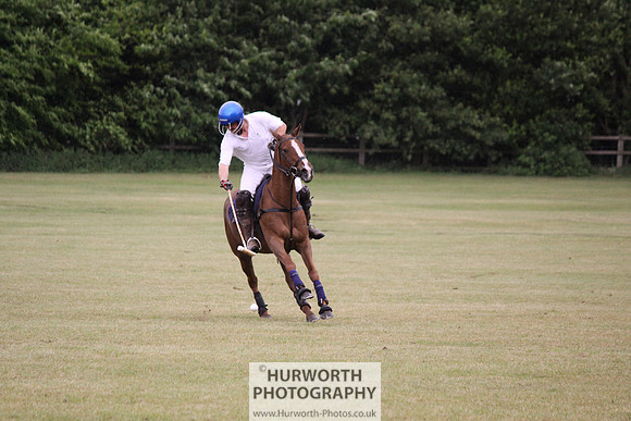 Toulston Polo 176