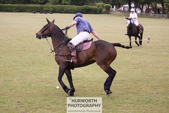 Toulston Polo 178