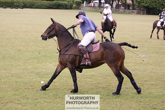 Toulston Polo 179