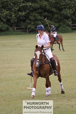 Toulston Polo 181