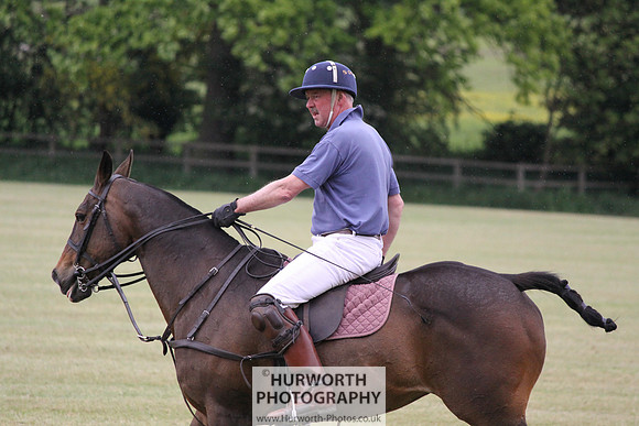 Toulston Polo 183