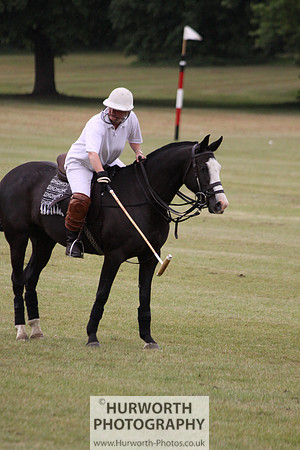 Toulston Polo 186